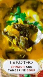 Lesotho Spinach and Tangerine soup-opt