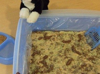 Kitty Litter Cake