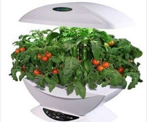 Thursdayâ€™s Thingamajig: AeroGarden Salsa Garden Seed Kit