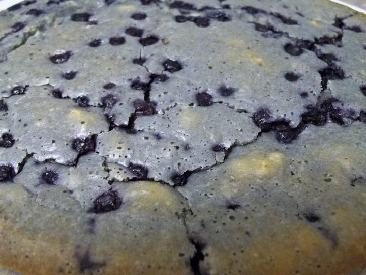 Blueberry Lizzy Coffee Cake