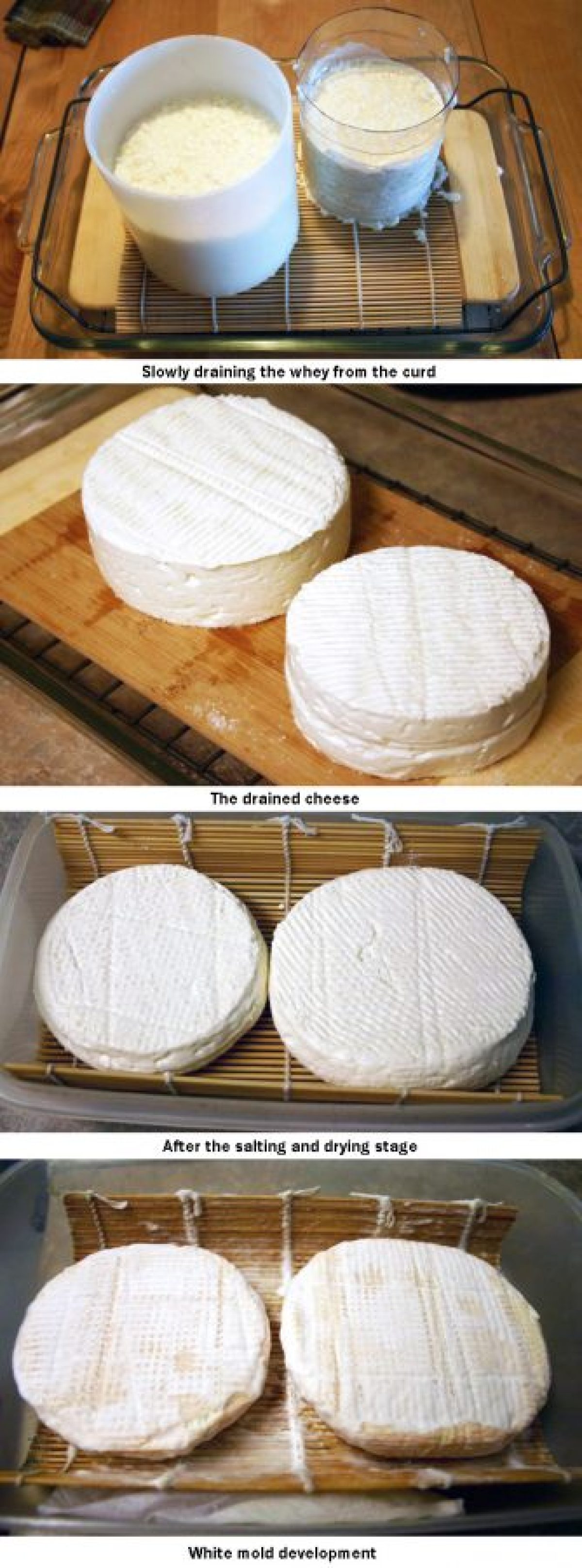How To Make Camembert Cheese At Home