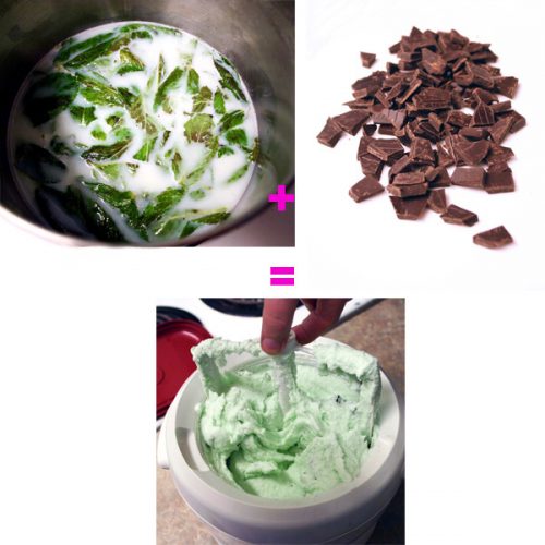 choco mint ice cream 040