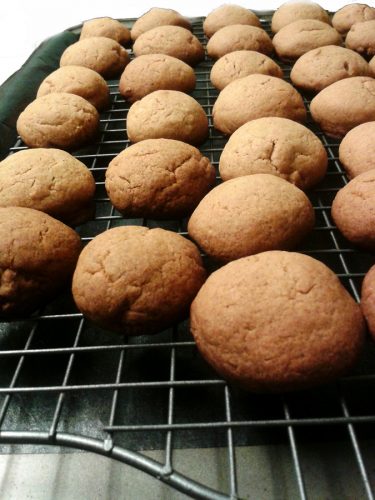 ginger cookie lines