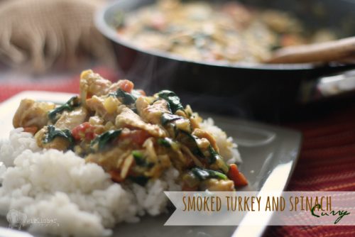 Smoked Turkey and Spinach Curry_3424