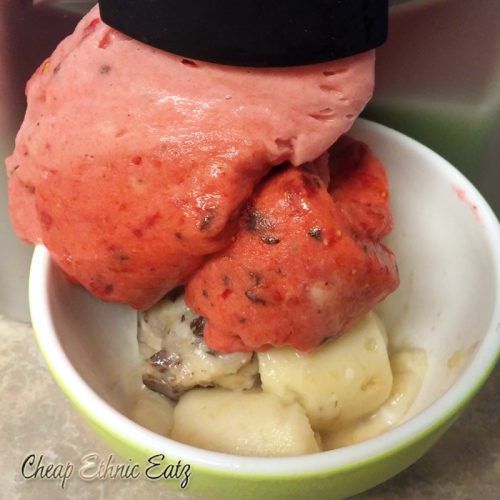 Using a Yonanas for Healthy DIY Ice Cream - The Make Your Own Zone