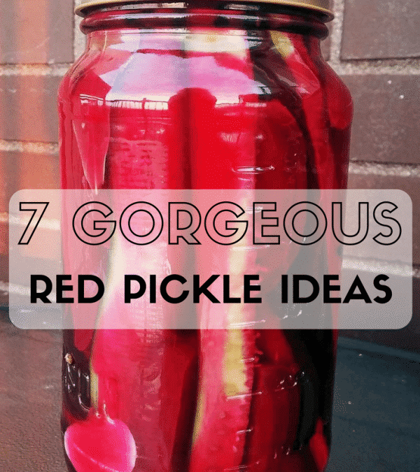 7 Gorgeous and Easy Red Pickle Recipe Ideas