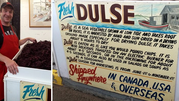 dulse