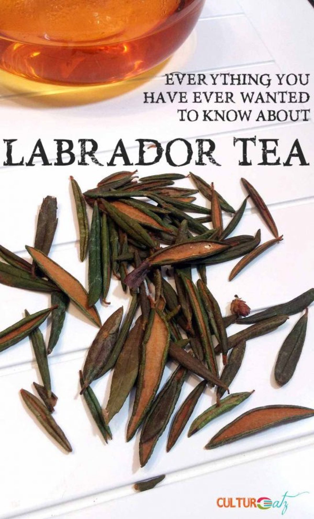 how much caffeine does labrador tea have in it