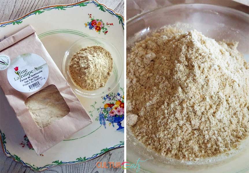 cattail flour