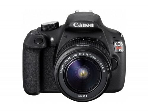 Food Photography Gift Guide Canon EOS Rebel T5