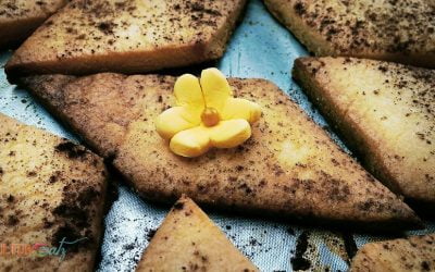 Sitting Pretty Buttercups on Sand Tarts