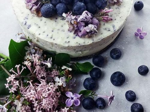 Lilac Blueberry Cheesecake