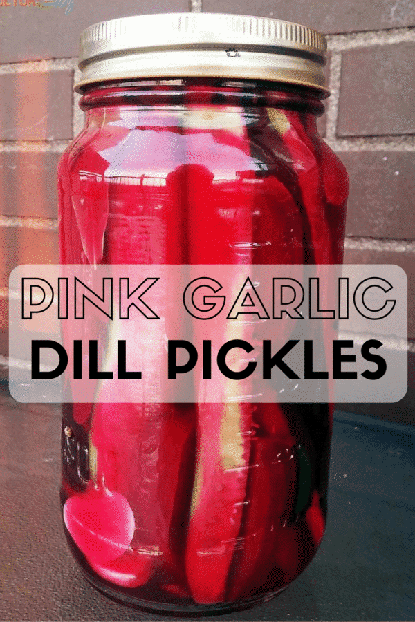 Pink Garlic Dill Pickles