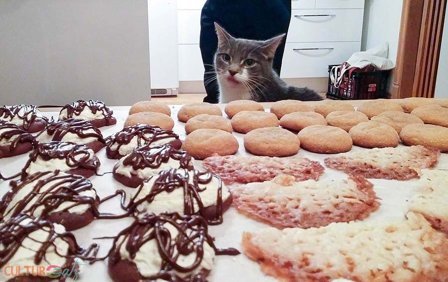 Cat want Christmas cookies