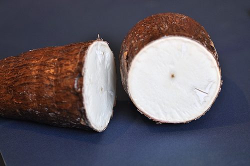 cut yuca