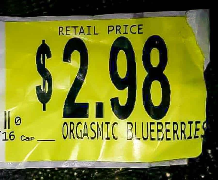 orgasmic blueberry.jpg