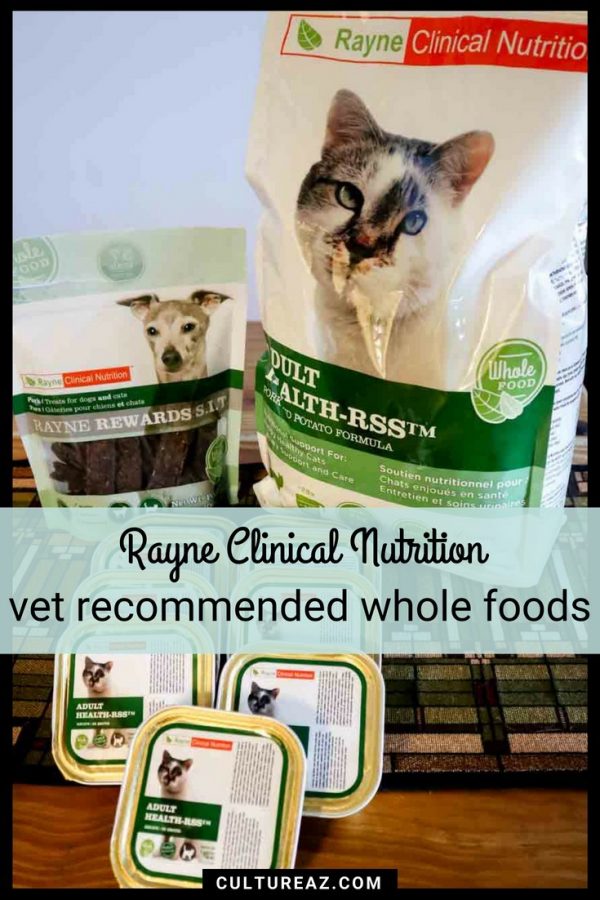 How to Switch Pet Food to Vet Recommended Whole Foods