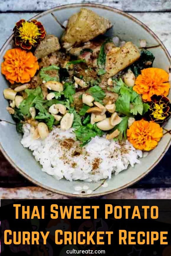 Thai Sweet Potato Curry Cricket Recipe