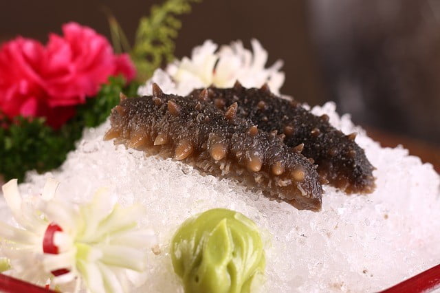 sea cucumber