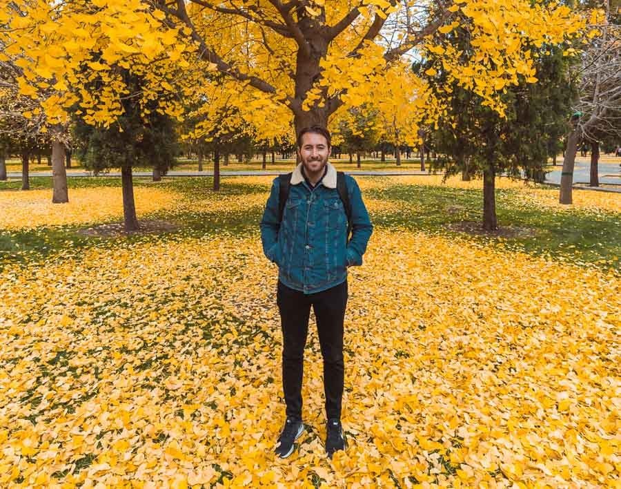 Beijing Fall foliage