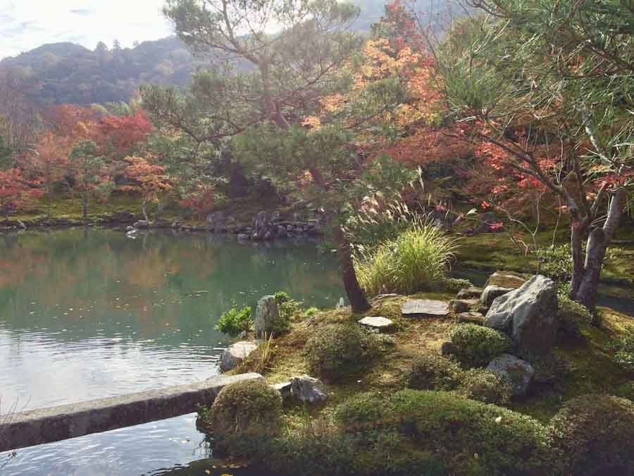 Kyoto Arashiyama Fall