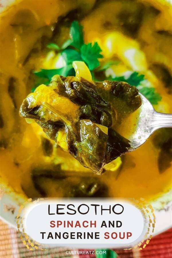 Lesotho Spinach and Tangerine soup-opt
