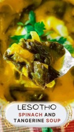 Lesotho Spinach and Tangerine soup-opt